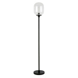 Agnolo 69" Tall Floor Lamp with Clear Glass Shade
