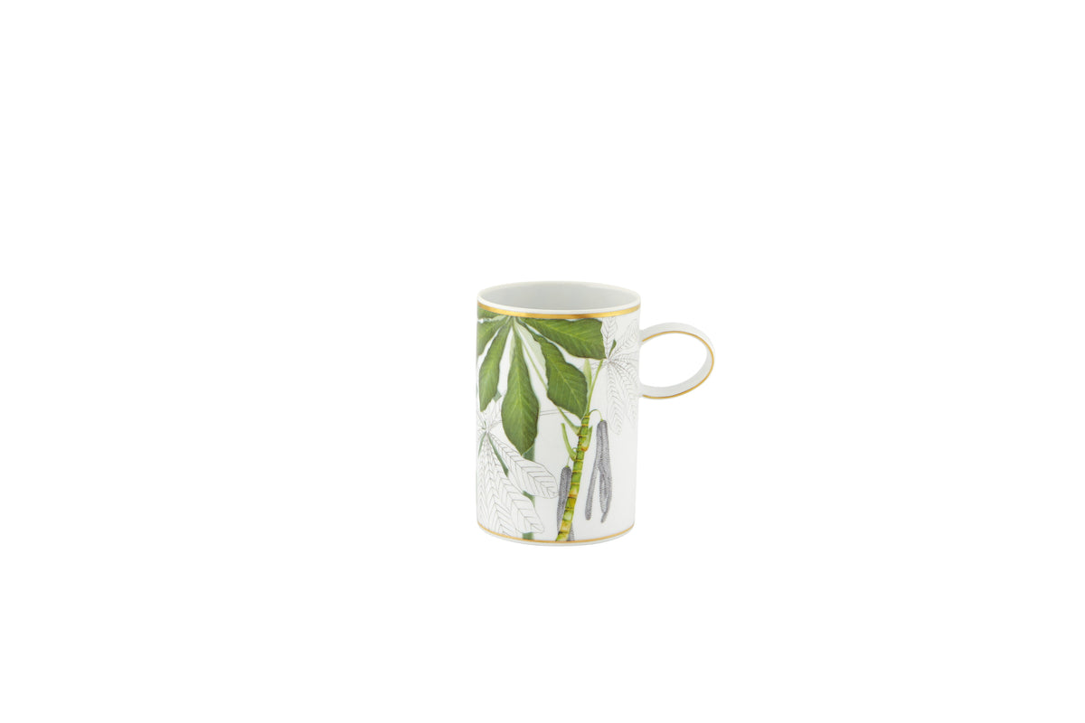 Amazonia Mugs Set of 4