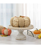 Autumn Harvest Tabletop Pumpkin Brown