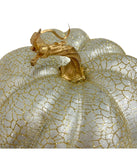 Crackled Fall Harvest Pumpkin Decoration Ivory