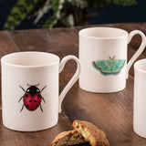 Curio Mugs Set of 4