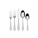 Salisbury Satin 20 Piece Flatware Set with Caddy, Service for 4