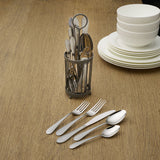 Salisbury Satin 20 Piece Flatware Set with Caddy, Service for 4