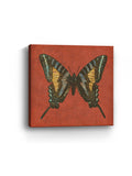 Cranberry Butterfly Canvas Art Print