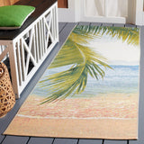 Barbados 560 Indoor / Outdoor Rug