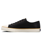 Hadley Lo Lace Up Sneaker Shell Toe