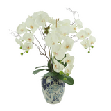 Orchids and Branches Arranged in a Ceramic Vase