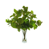 Ficus and Cotinus Arrangement In Glass Vase