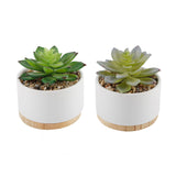 Set of White Ceramic Mini Pots with Wood Base