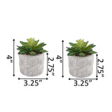 Set of Modern Mini Cement Pots