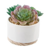 White Ceramic Pot with Wood Base