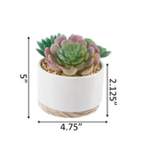 White Ceramic Pot with Wood Base