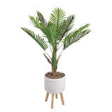 Areca Palm Floor Planter On Wood Stand