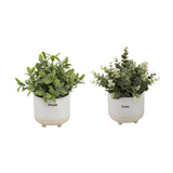 Set of 2 Duo-Toned Inspirational Planters with Faux Plants