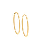 Gold Filled Endless Hoop Earring Gold