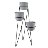 Tiered Lava Grey Cement Pots with Stand