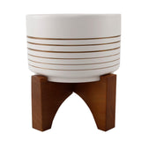 White Ceramic Pot with Gold Lines on Wood Stand