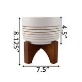 White Ceramic Pot with Gold Lines on Wood Stand