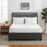 Cannon Classic Cotton Mattress Pad