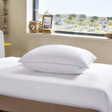 400 Thread Count Medium Firm Cotton Pillow