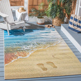 Barbados 550 Indoor / Outdoor Rug