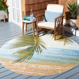 Barbados 560 Indoor / Outdoor Rug