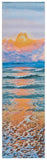 Barbados 581 Indoor / Outdoor Rug