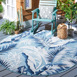 Cabana 452 Indoor / Outdoor Rug