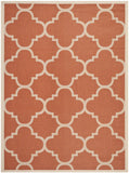 Courtyard 6243 Indoor / Outdoor Rug