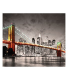 City Collection - New York City - Brooklyn Bridge: 1000 Pcs Multi