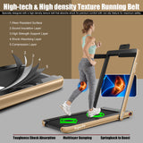 2.25 Horsepower 2 in 1 Folding Treadmill with  APP Speaker Remote Control