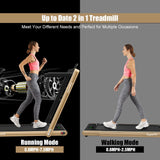 2.25 Horsepower 2 in 1 Folding Treadmill with  APP Speaker Remote Control