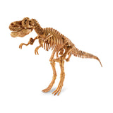 Dig It Up! - Dino Model: Tyrannosaurus Rex